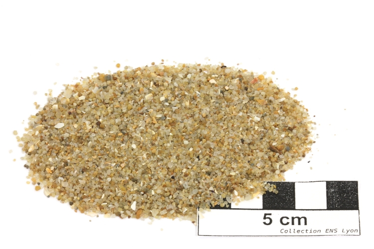 Sable marin grossier Sable à grains de quartz et fragments de coquilles   La Baule Plage de La Baule